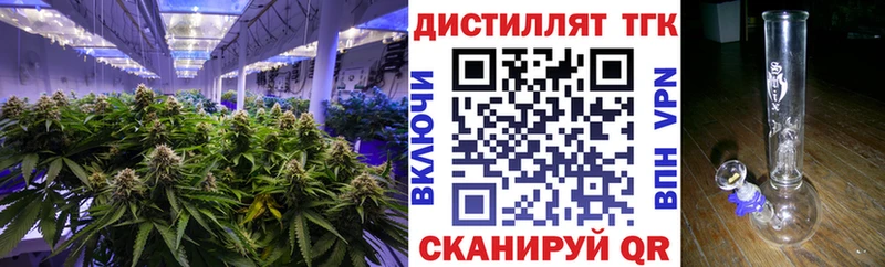 купить  цена  Люберцы  ТГК THC oil 
