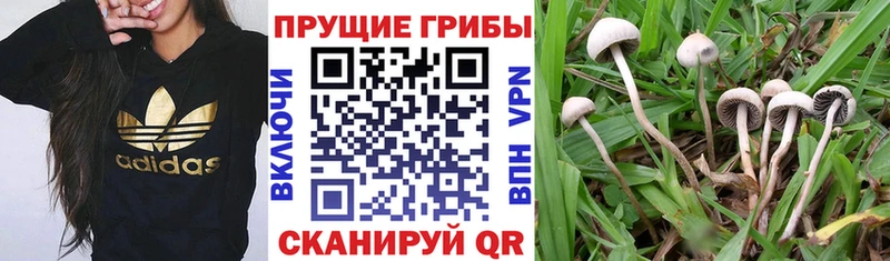 Псилоцибиновые грибы мухоморы kraken Люберцы